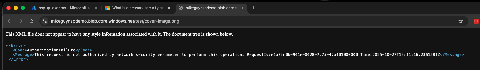 Access to Blob Blocked by NSP